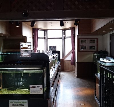 🏞️ 쓰치우라시 자연 센터(쓰치우라시 네이처 센터) 이미지 2